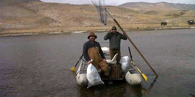 Limpieza-2012-01